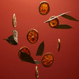 Spice Refillable Pocket Sanitizer|香料消毒噴霧