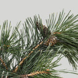 Bohemian Forest Candle|波希米亞森林蠟燭