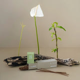 Bush Walk Scented Incense|叢林漫步線香