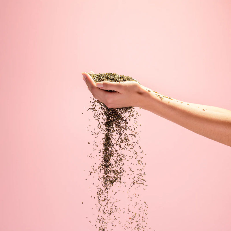 Lavender Refillable Pocket Sanitizer｜薰衣草消毒噴霧